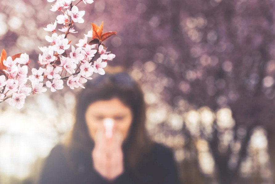 Alergias na Primavera Alergias na Primavera